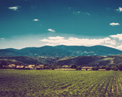 ddos在线攻击工具